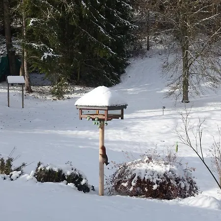 Hollhouse - Frühstückspension