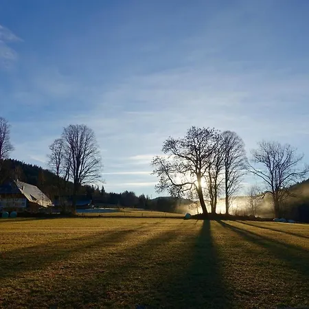 Hollhouse - 3* 欣特察尔滕