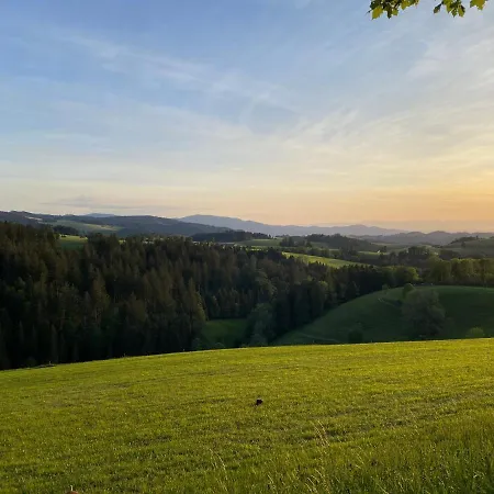Hollhouse - Hinterzarten