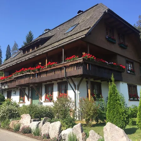 Hollhouse - *