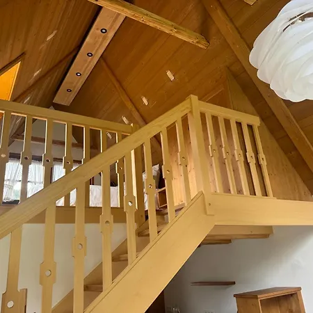 Hollhouse - * Hinterzarten
