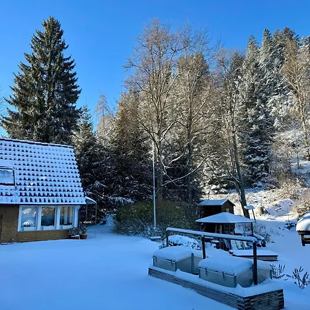 Hollhouse - 3* Hinterzarten