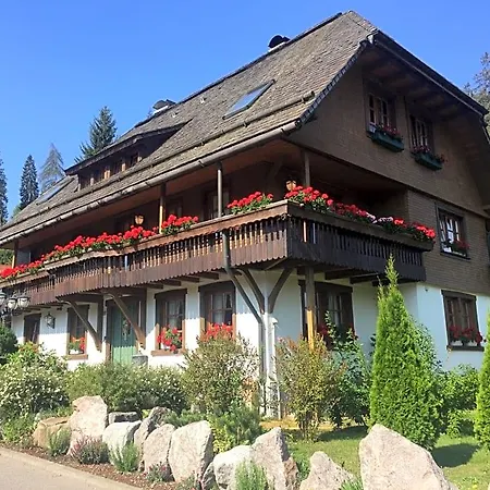 Hollhouse - 3* Hinterzarten