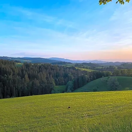 Hollhouse - Hinterzarten