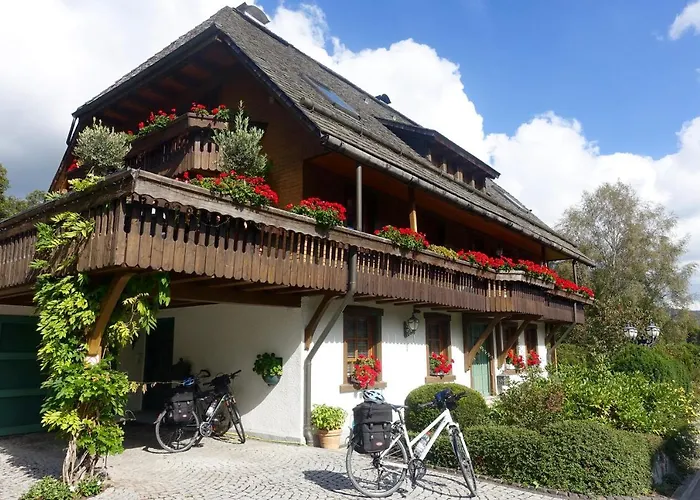 Bed and Breakfast Hollhouse - Hinterzarten