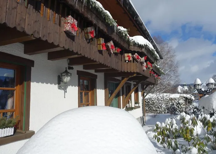 Bed and Breakfast Hollhouse -