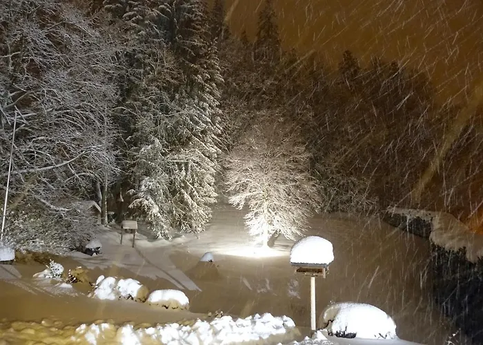 Bed and Breakfast Hollhouse - 3*