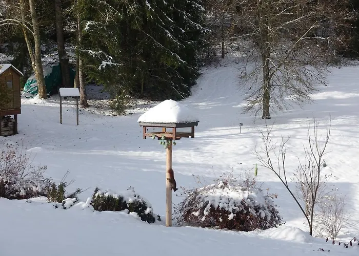 Hollhouse - Bed and Breakfast