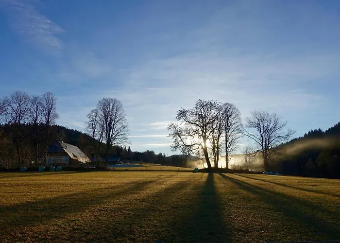 Hollhouse - 3* Hinterzarten