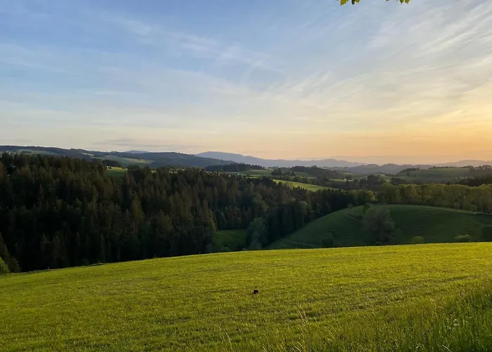 Hollhouse - Hinterzarten