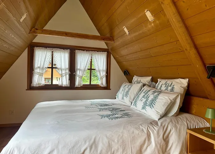 Bed and Breakfast Hollhouse -