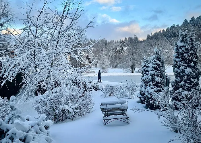 Hollhouse - Hinterzarten