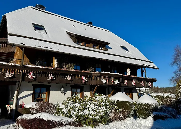 Hollhouse - Hinterzarten