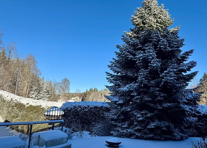 Hollhouse - Bed and Breakfast