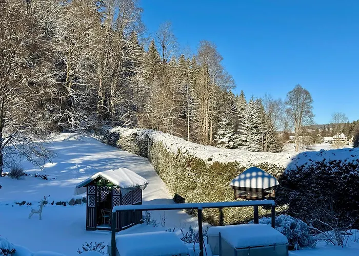 Bed and Breakfast Hollhouse -