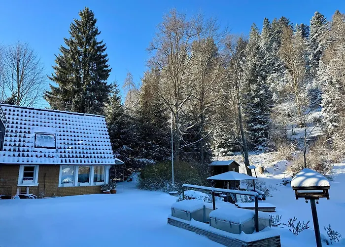 Hollhouse - 3* Hinterzarten